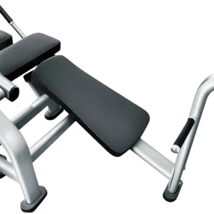Ab Crunch Bench - French Fitness FFS Silver (New)