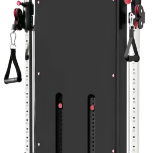 French Fitness Wall Mounted Dual Cable Column Component