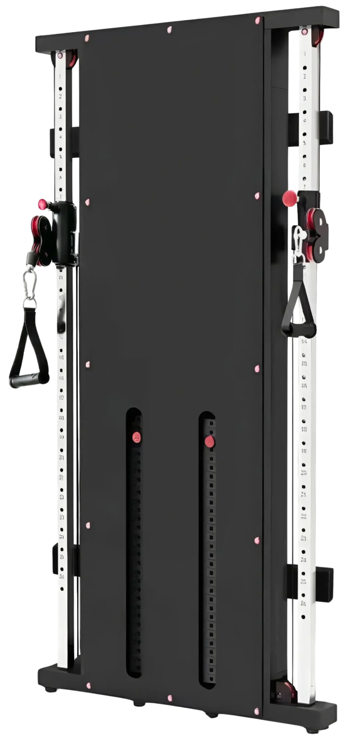 French Fitness Wall Mounted Dual Cable Column Component